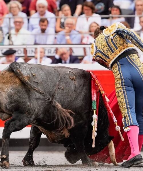 La Quinta se sale del mapa en Bilbao con la corrida más importante de su temporada