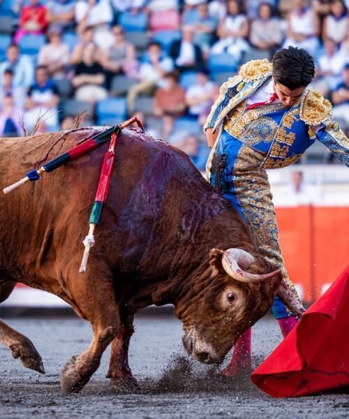 Gran tarde de toros en Bilbao: Marco Pérez muestra su dimensión de figura del toreo