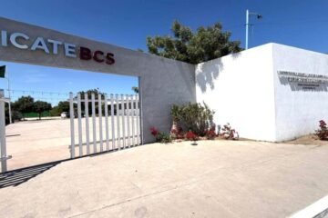 Estos son los cursos que ICATEBCS ofrece durante agosto en BCS