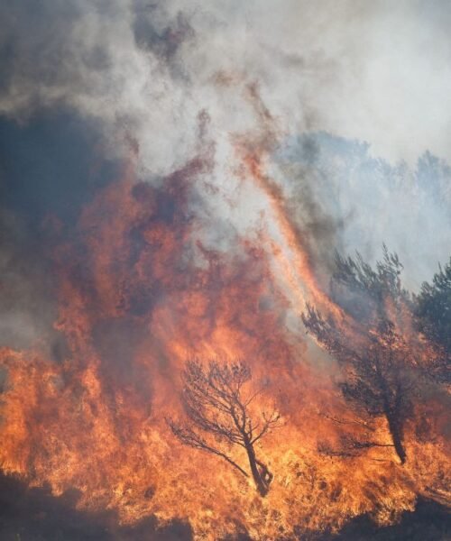 Atenas sigue bajo amenaza por incendios forestales