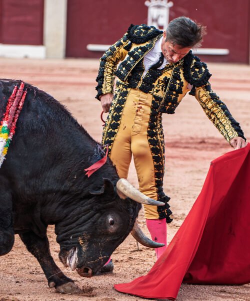 Diego Urdiales vuelve a tocar el cielo del toreo en Colmenar Viejo