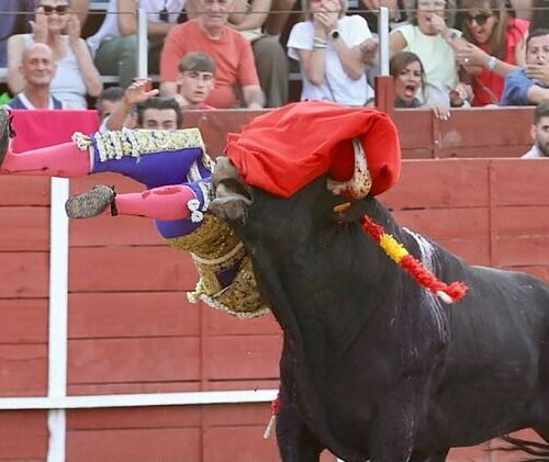 El novillero catalán Adame Espinosa sufre una grave cornada en Mejorada del Campo