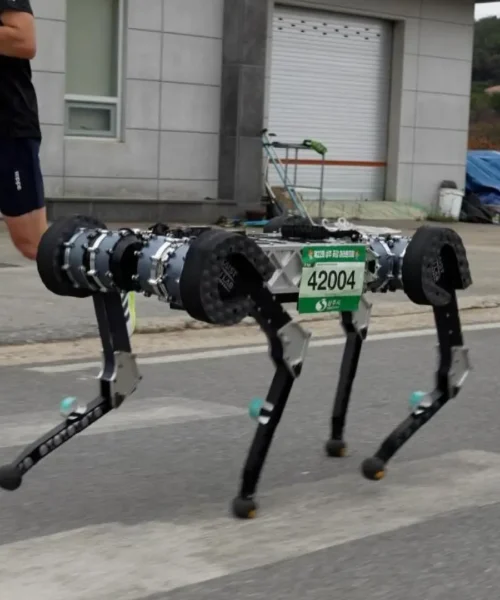 Este robot cuadrúpedo corrió una maratón entera de 42 km sin recargar la batería: así lo consiguió