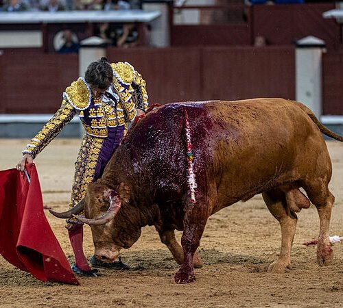 La belleza madura de Diego Urdiales bajo la lluvia evoca a Curro Vázquez en Las Ventas