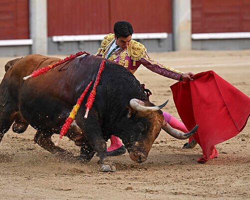 Marco Pérez sobrevive a la crueldad de Madrid