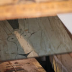 El Museu Egipci de Barcelona incorpora un conjunto funerario «único en España» de hace 2.500 años