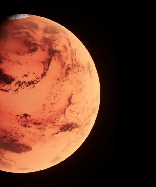 Así funciona Ani, el sistema autosuficiente premiado por la NASA para producir comida en Marte