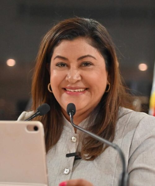 Proponen proteger a docentes de BCS ante amenazas, acoso y agresiones en redes sociales